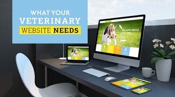 5 Requirements For Any Veterinary Website