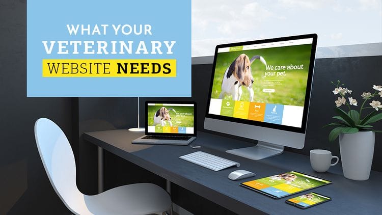 5 Requirements For Any Veterinary Website