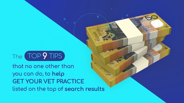 The top 9 tips that you can do now, to help get your vet practice listed on the top of search results
