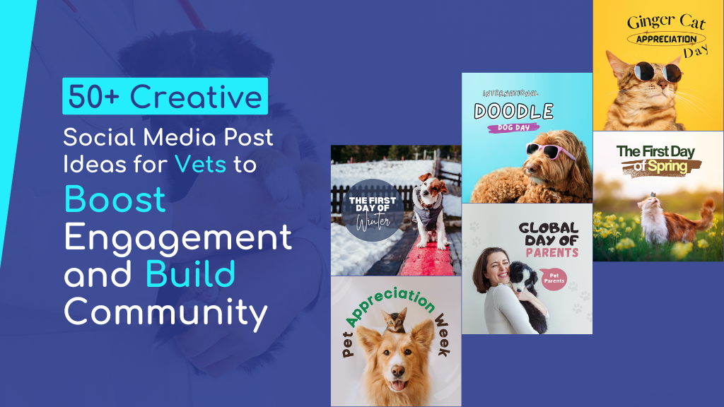 50+ Creative Social Media Post Ideas for Vets to Boost Engagement and Build Community