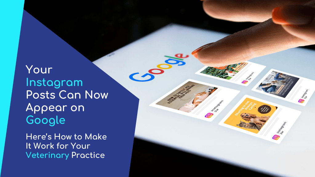 Your Instagram Posts Can Now Appear on Google : Here’s How to Make It Work for Your Veterinary Practice