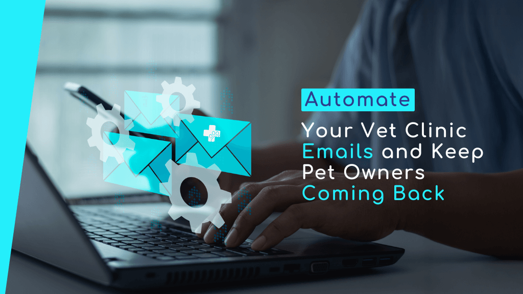 Automate Your Vet Clinic Emails and Keep Pet Owners Coming Back