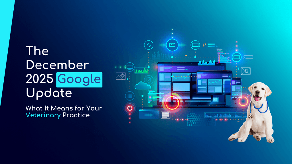 The December 2025 Google Update: What It Means for Your Veterinary Practice