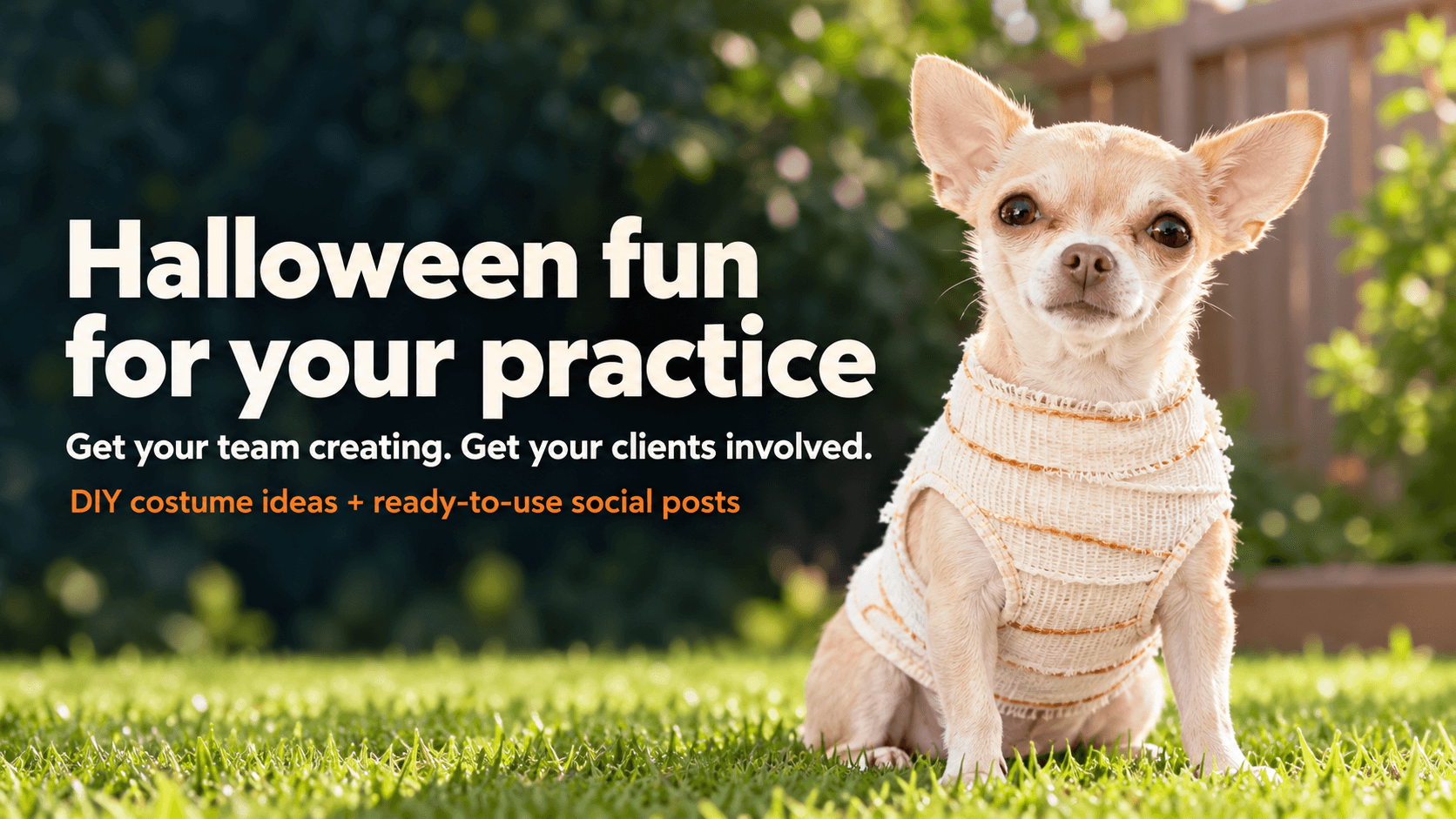 Halloween Fun: Get Your Veterinary Team and Clients Involved with DIY Pet Costumes!