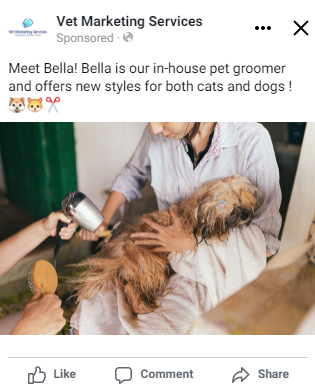 Pet Grooming Facebook Post