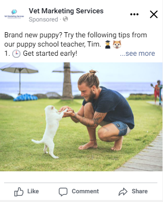 Pet Training Tips Social Media