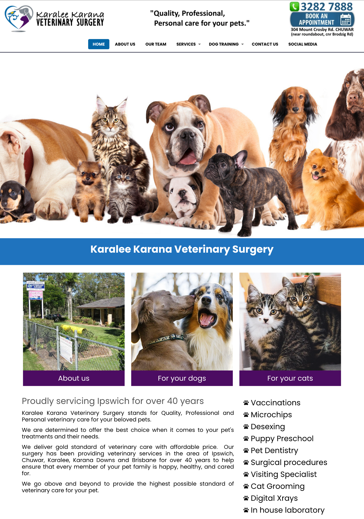 Before Karalee Karana Vet Surgery Before Karalee Karana Vet Surgery