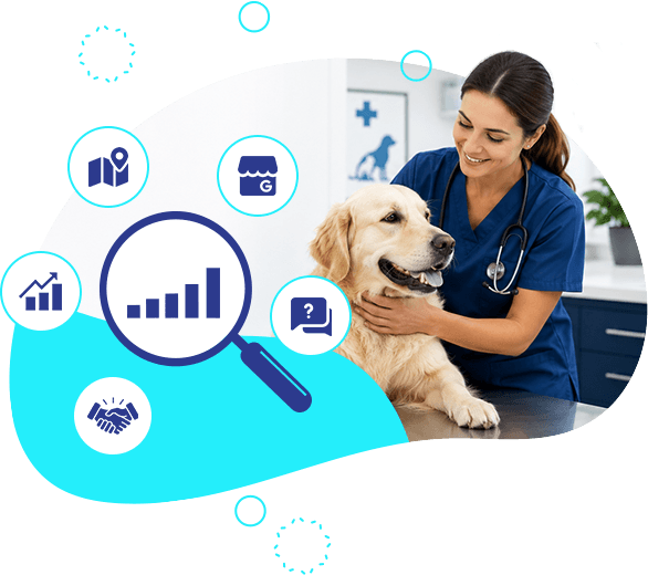 Veterinary Search Visibility Health Check