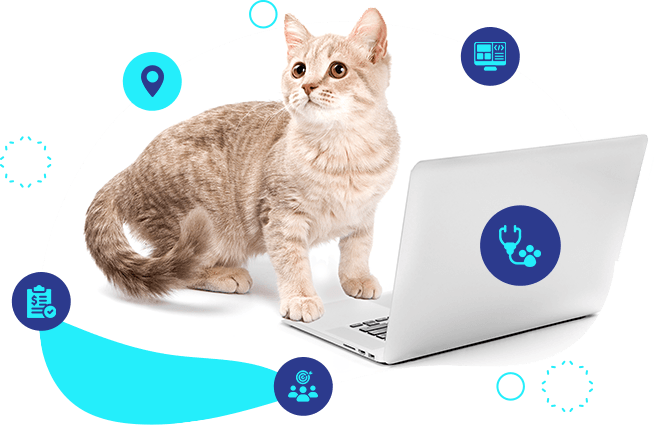 Veterinary Practices