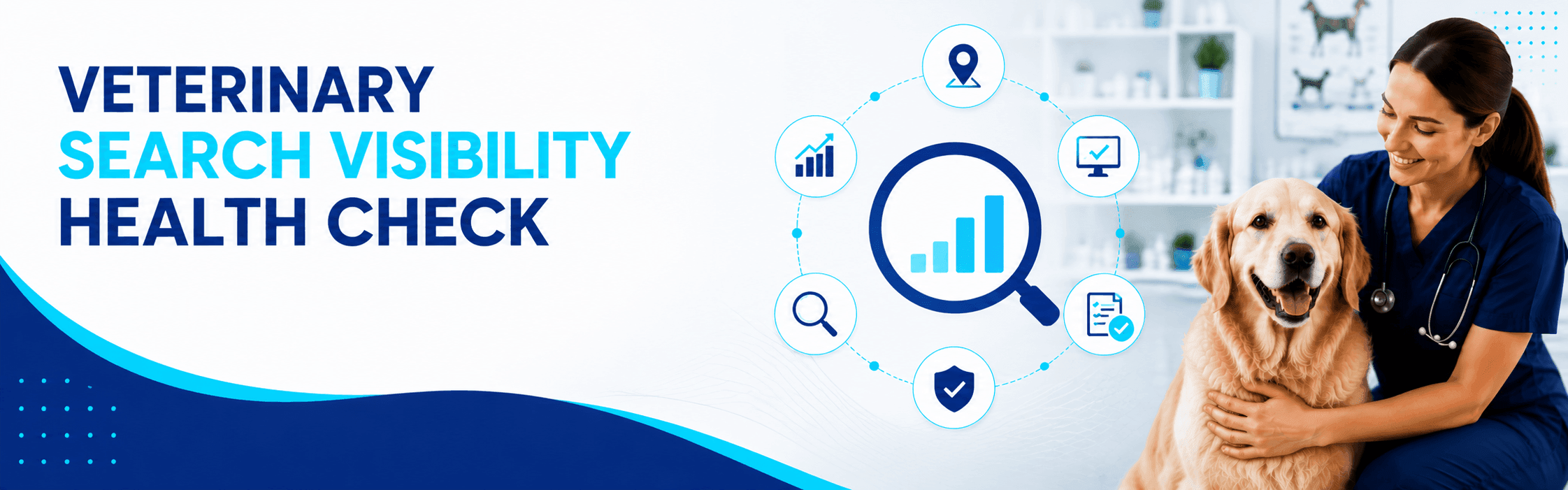 Veterinary Search Visibility Health Check
