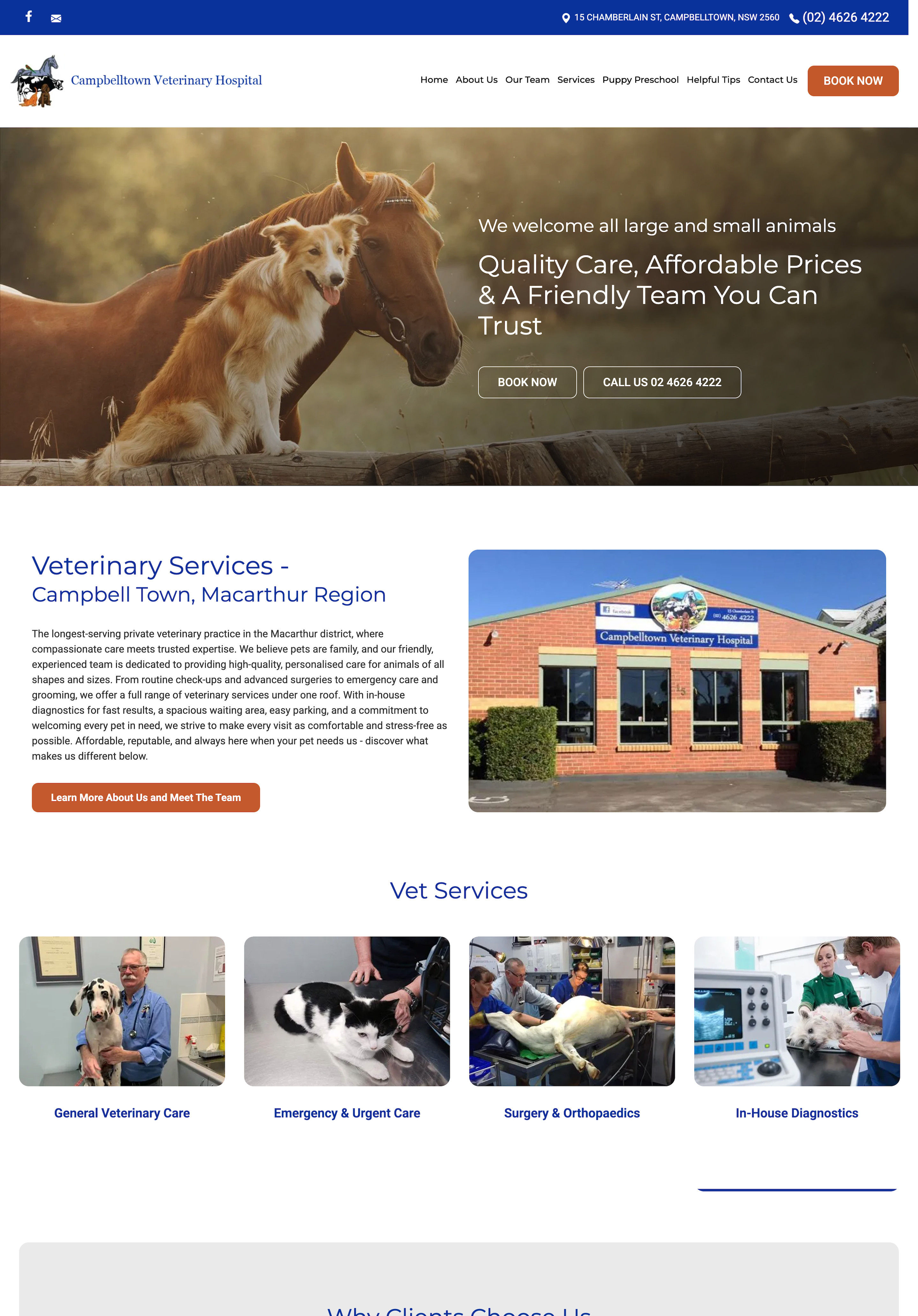 After Campbelltown Veterinary Hospital After Campbelltown Veterinary Hospital
