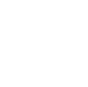 Antonio School