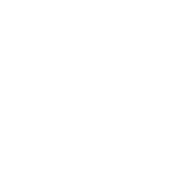 Antonio School