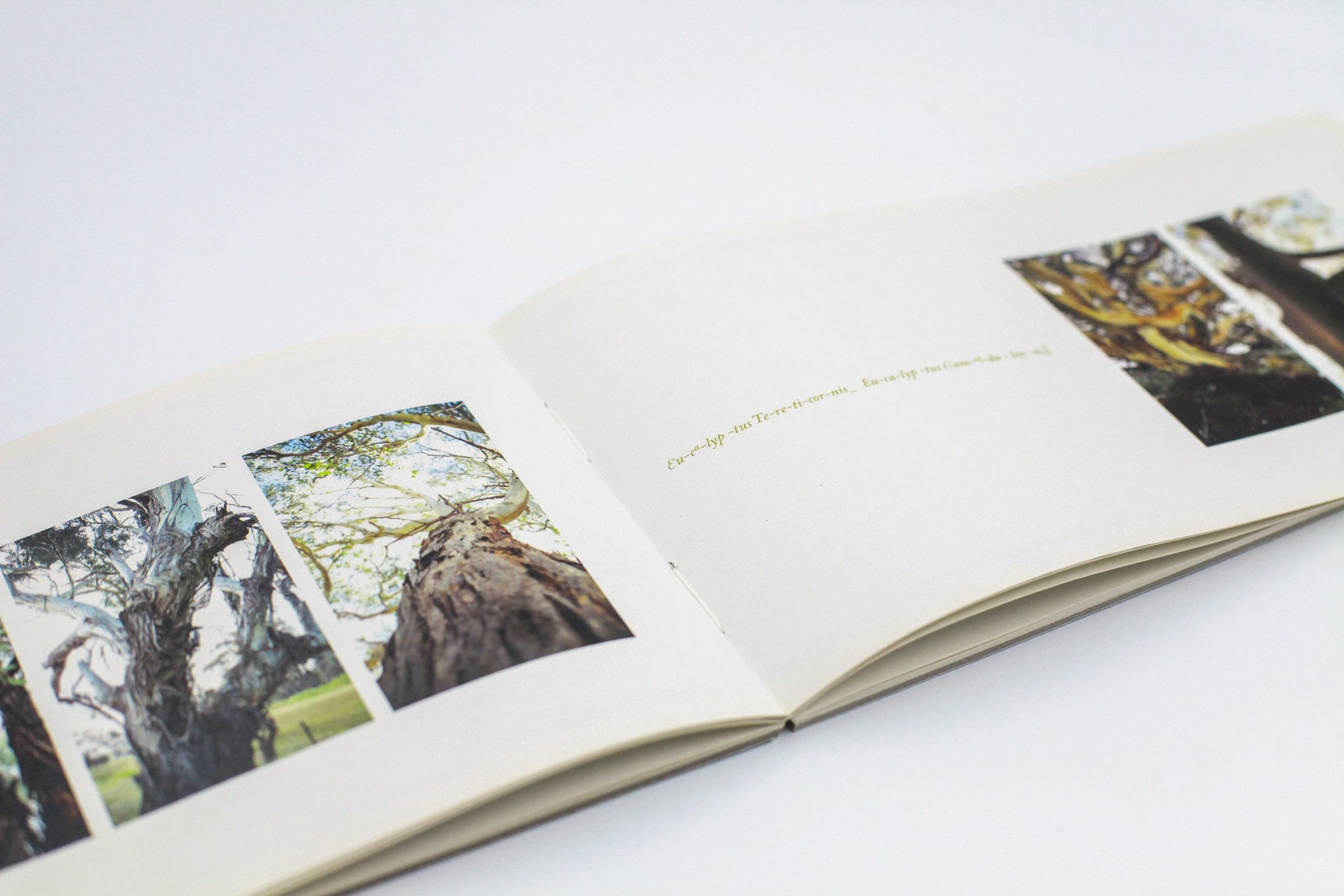 Visiting Eucalyptus | Print & Design Case Study | Digitalpress Sydney