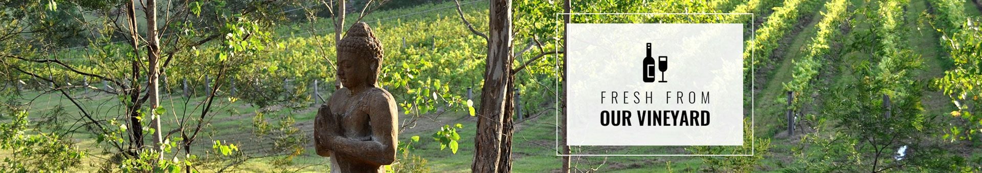 Wines fresh from our vineyard at Splitrock Vineyard | Howes Valley Winery | NSW wineries and vineyards