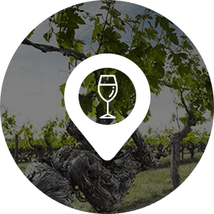 Splitrock Vineyard is an amazing area for wine | Howes Valley Winery | NSW wineries and vineyards