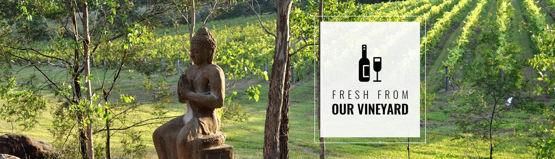 Wine fresh from our vineyard | Splitrock Vineyard | Howes Valley Winery | NSW wineries and vineyards