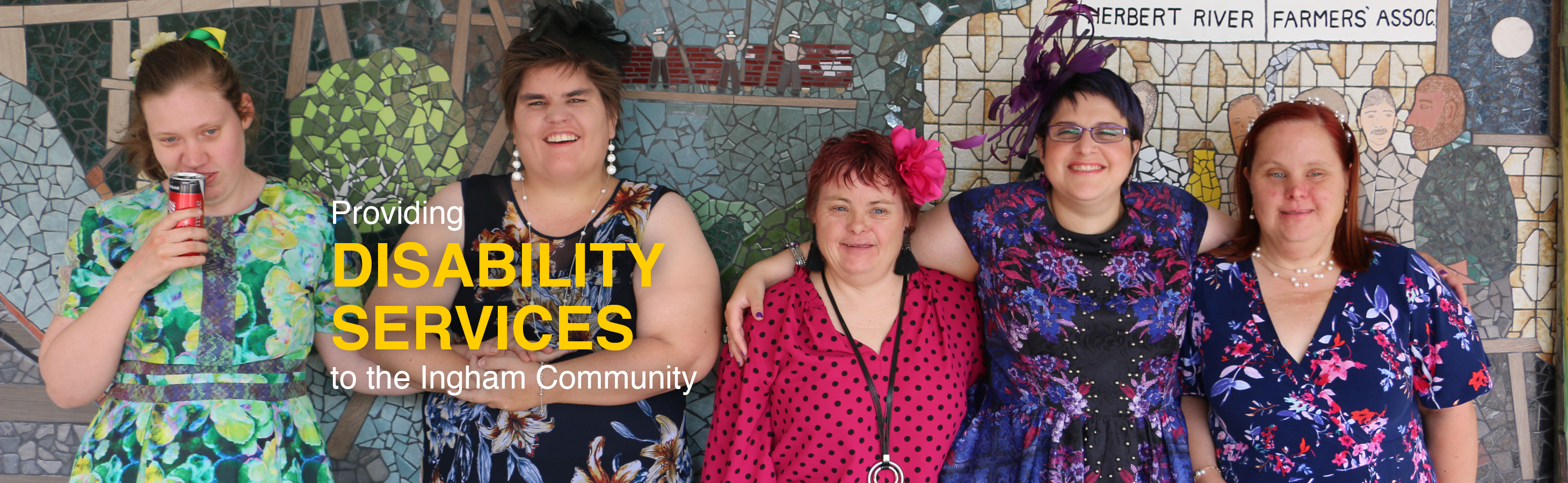 Disability Supports
