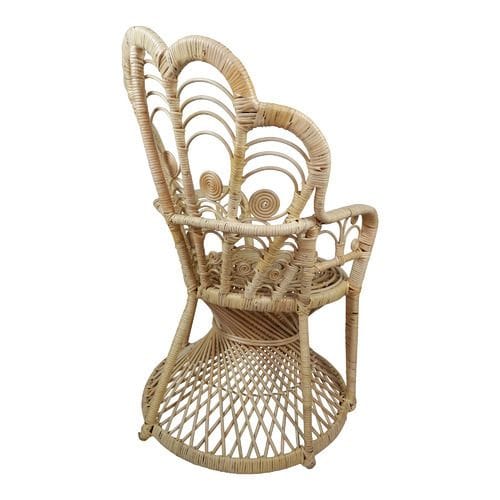 Peacock Rattan Chair Related