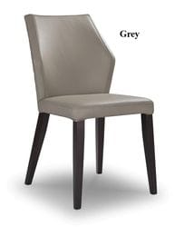 Aires Leather Dining Chair - Set of 2