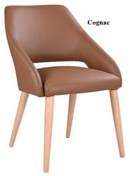 Rico Leather Dining Chair - Set of 2