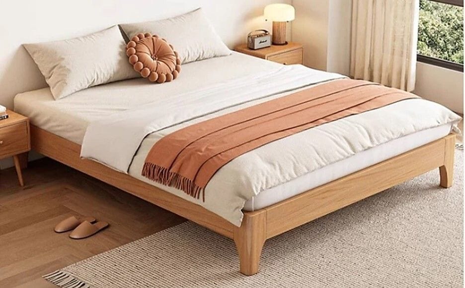 Dino King Single Bed Related