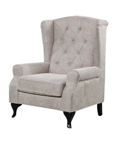 Taegon Wing Arm Chair