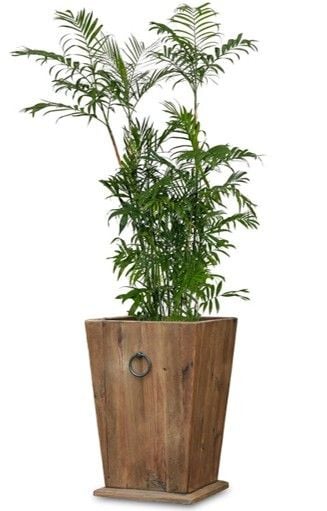 Norfolk Planter - 600mm Related