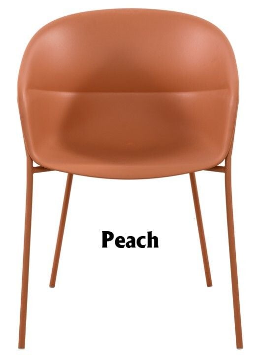 Marisol Outdoor Chair - Set of 2 Related