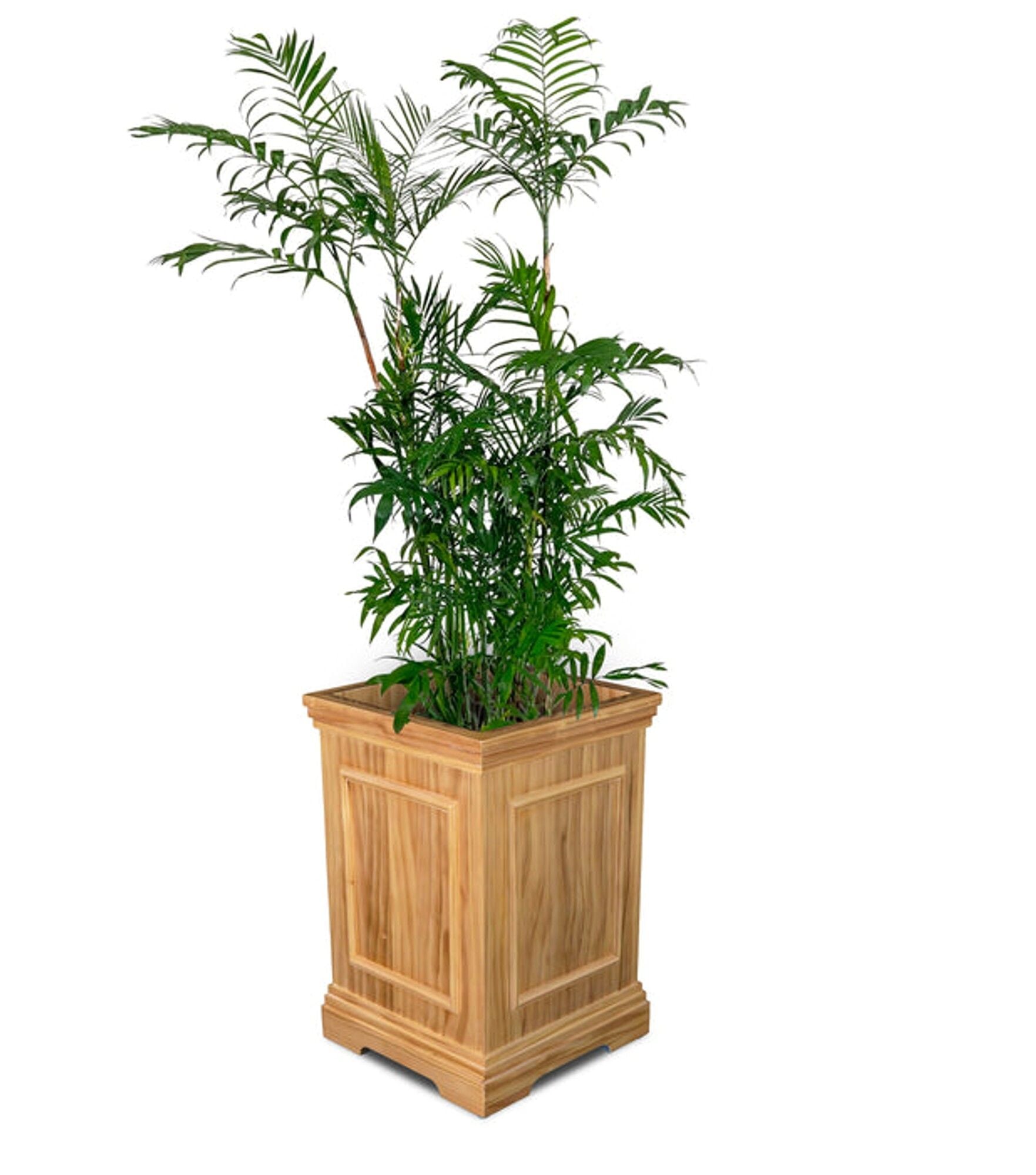 New Orleans Planter Box - Medium
