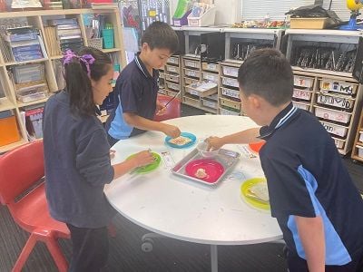 Yr 2/3C - T4W6 Image -655aced76ab16