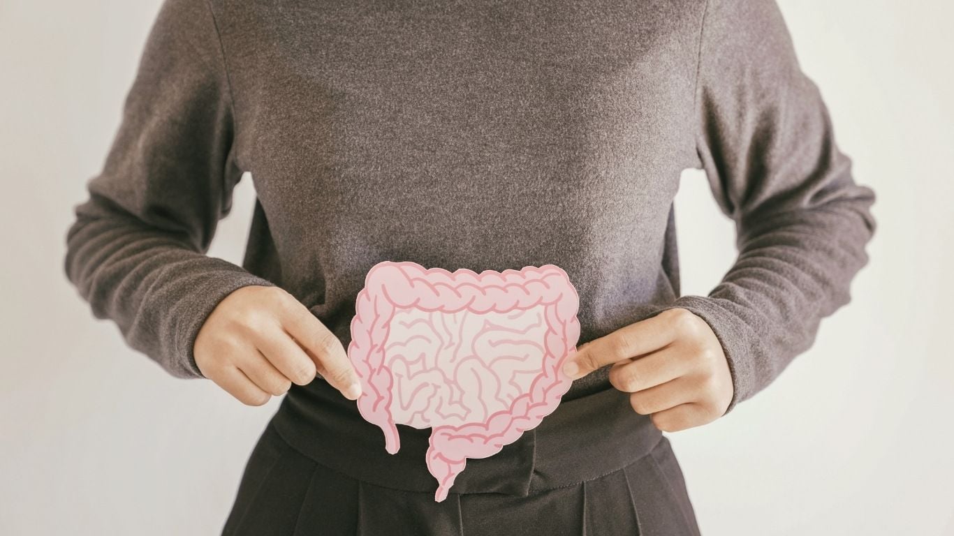 How Gut Health Influences Hormones, Energy, and Mood