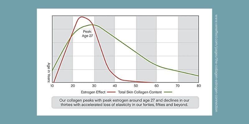 Chart showing the connection between estrogen and collagen as it affects the skin