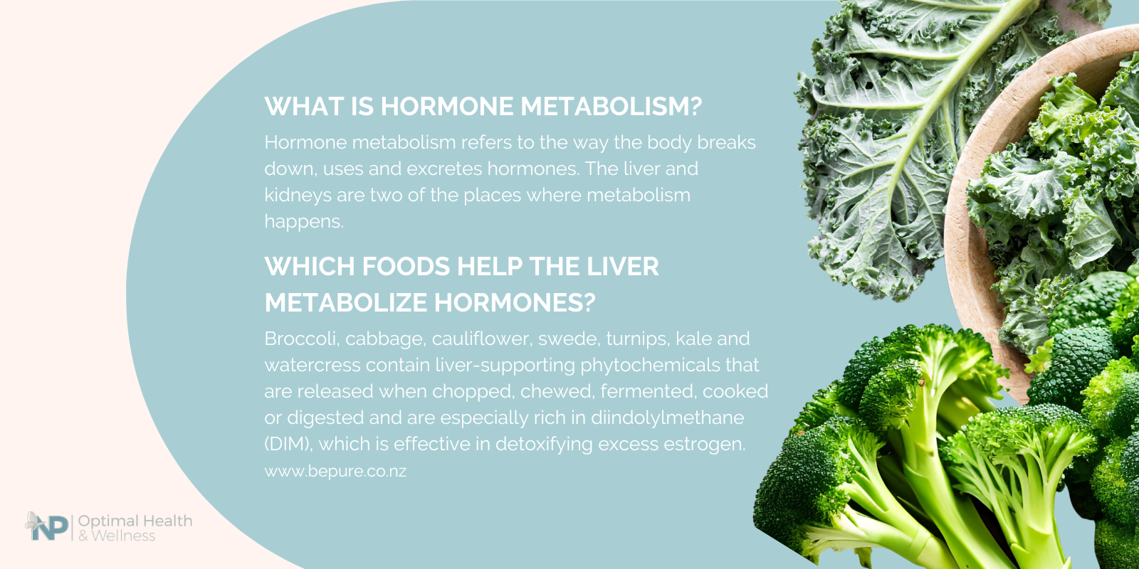 Information about hormone metabolism