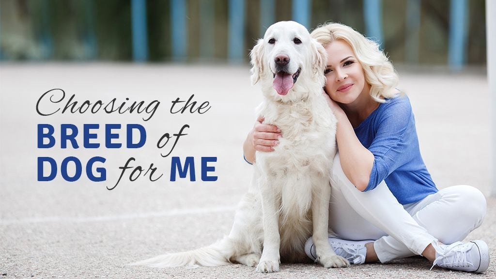 Choosing the Dog for You Choosing the Dog for You