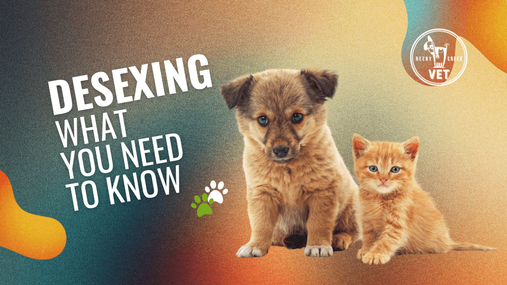 Desexing: What You Need to Know Desexing: What You Need to Know