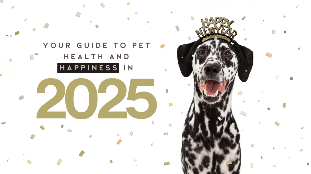 A Year of Pawsitive Change: Your Guide to Pet Health and Happiness in 2025 A Year of Pawsitive Change: Your Guide to Pet Health and Happiness in 2025
