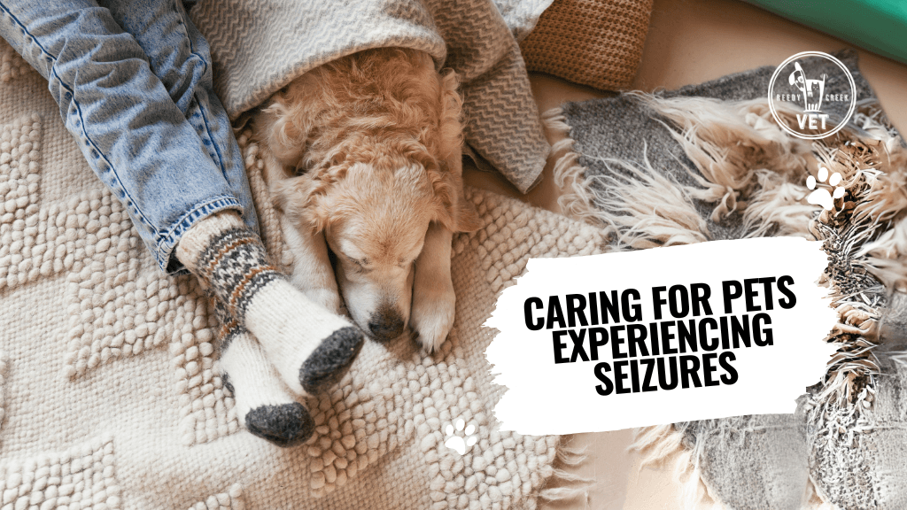 Caring for Pets Experiencing Seizures Caring for Pets Experiencing Seizures