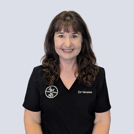 Dr Vanessa Veterinarian
