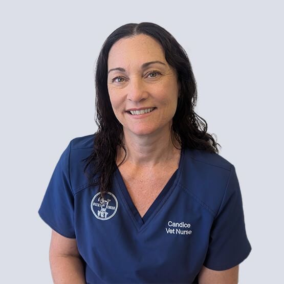 Candice Vet Nurse
