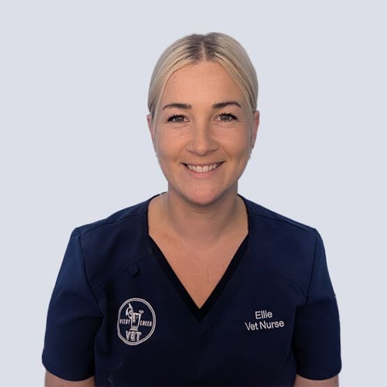 Ellie Vet Nurse