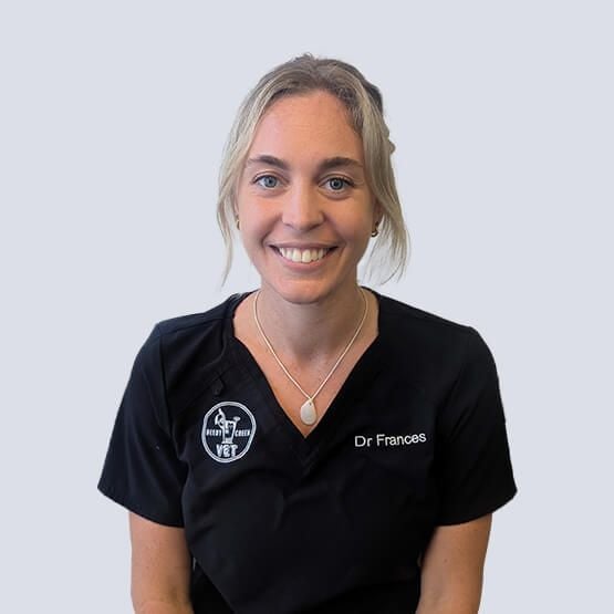 Dr Frances Veterinarian