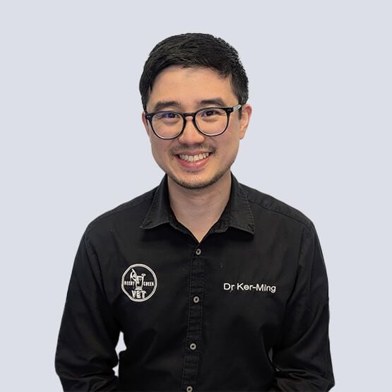 Dr Ker-Ming Veterinarian