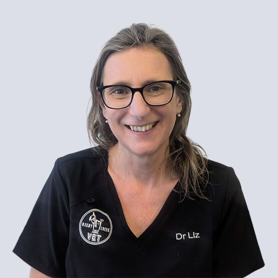 Dr Liz Veterinarian
