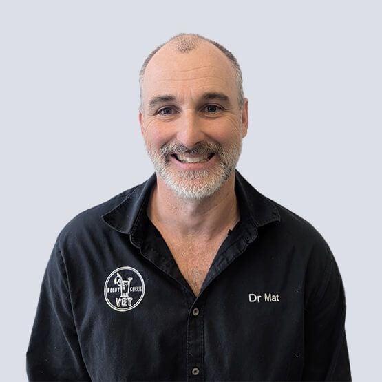 Dr Matthew Veterinarian