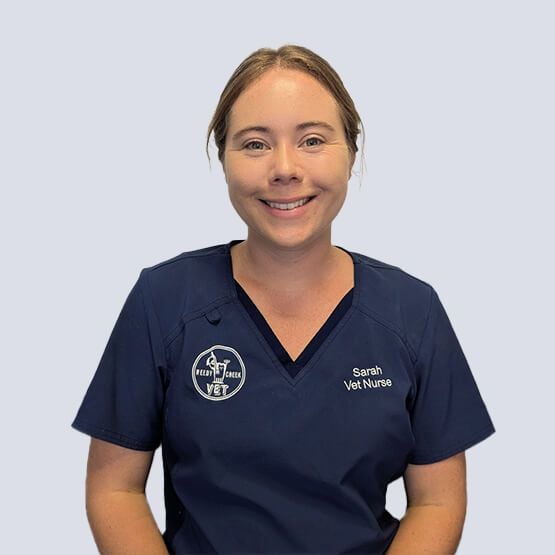Sarah Vet Nurse