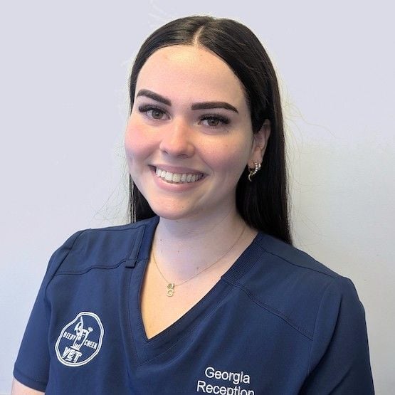 Vet Nurse