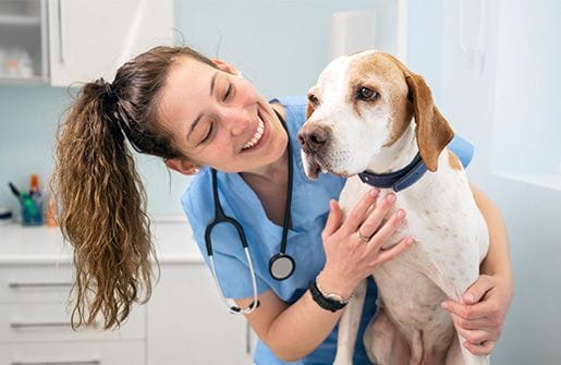 General Vet Consultations