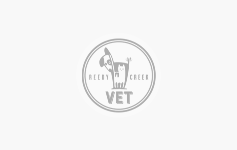 Reedy Creek Vet Closure - Wednesday 24th March