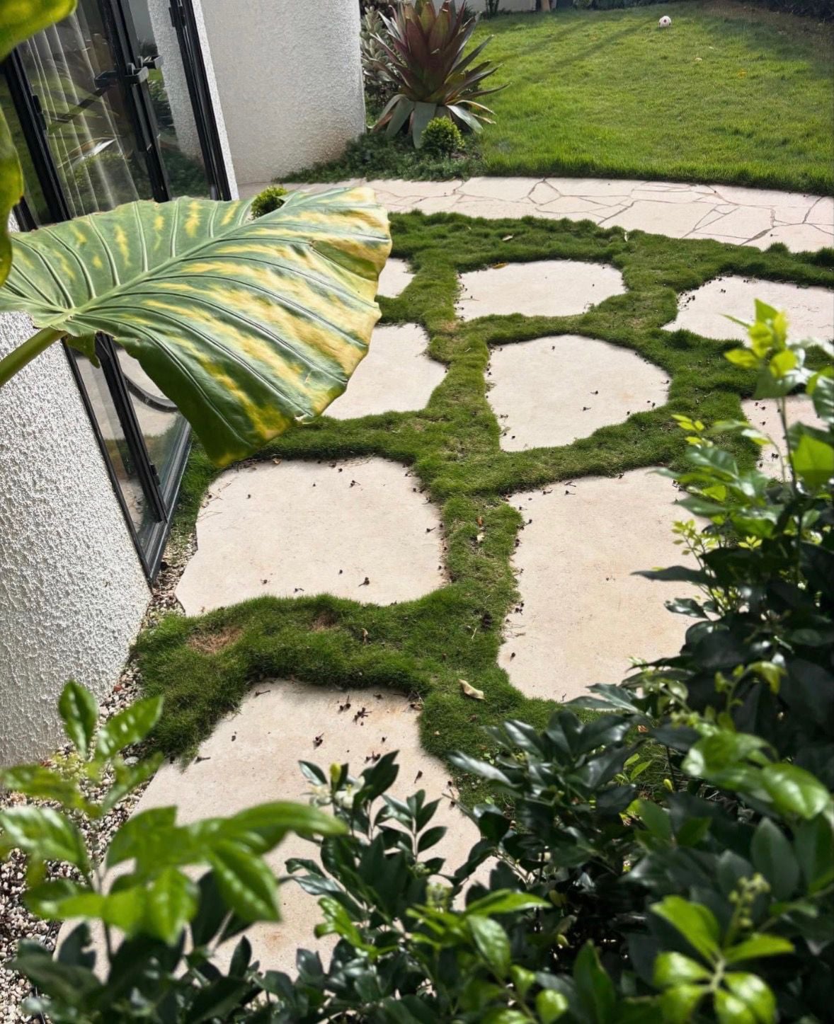 Crazy Paving Image -6a0165d799813